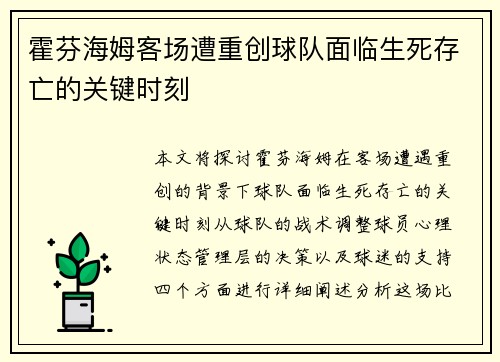 霍芬海姆客场遭重创球队面临生死存亡的关键时刻