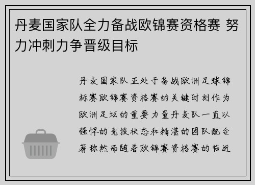 丹麦国家队全力备战欧锦赛资格赛 努力冲刺力争晋级目标