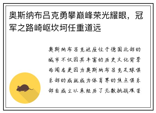 奥斯纳布吕克勇攀巅峰荣光耀眼，冠军之路崎岖坎坷任重道远