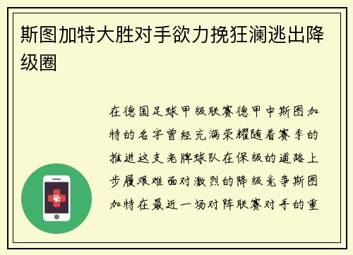 斯图加特大胜对手欲力挽狂澜逃出降级圈